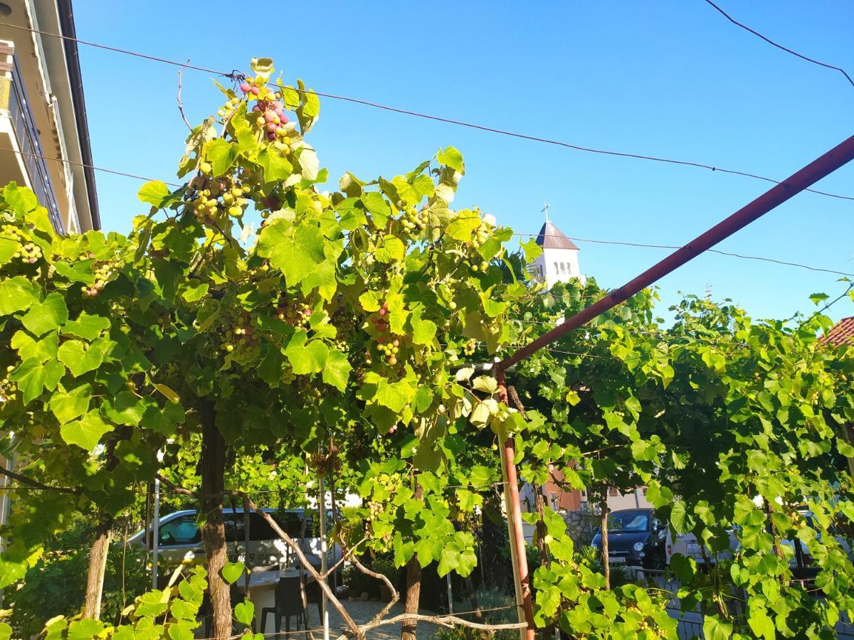 Adria Daire Crikvenica Dış mekan fotoğraf