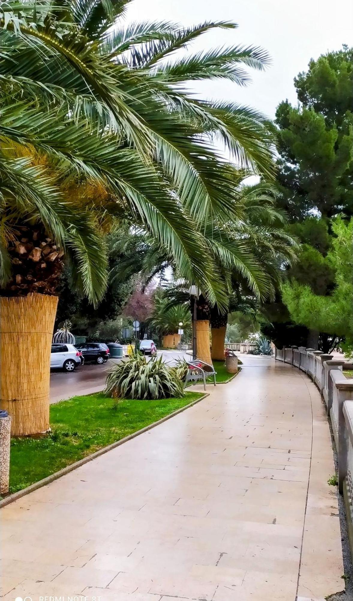 Adria Daire Crikvenica Dış mekan fotoğraf