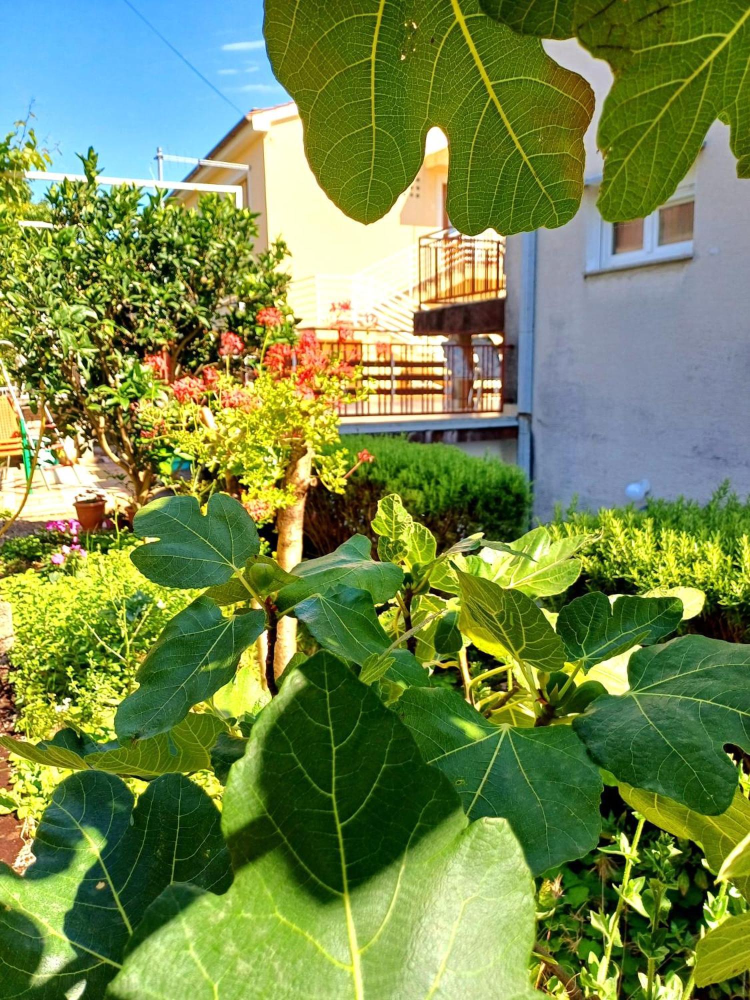 Adria Daire Crikvenica Dış mekan fotoğraf