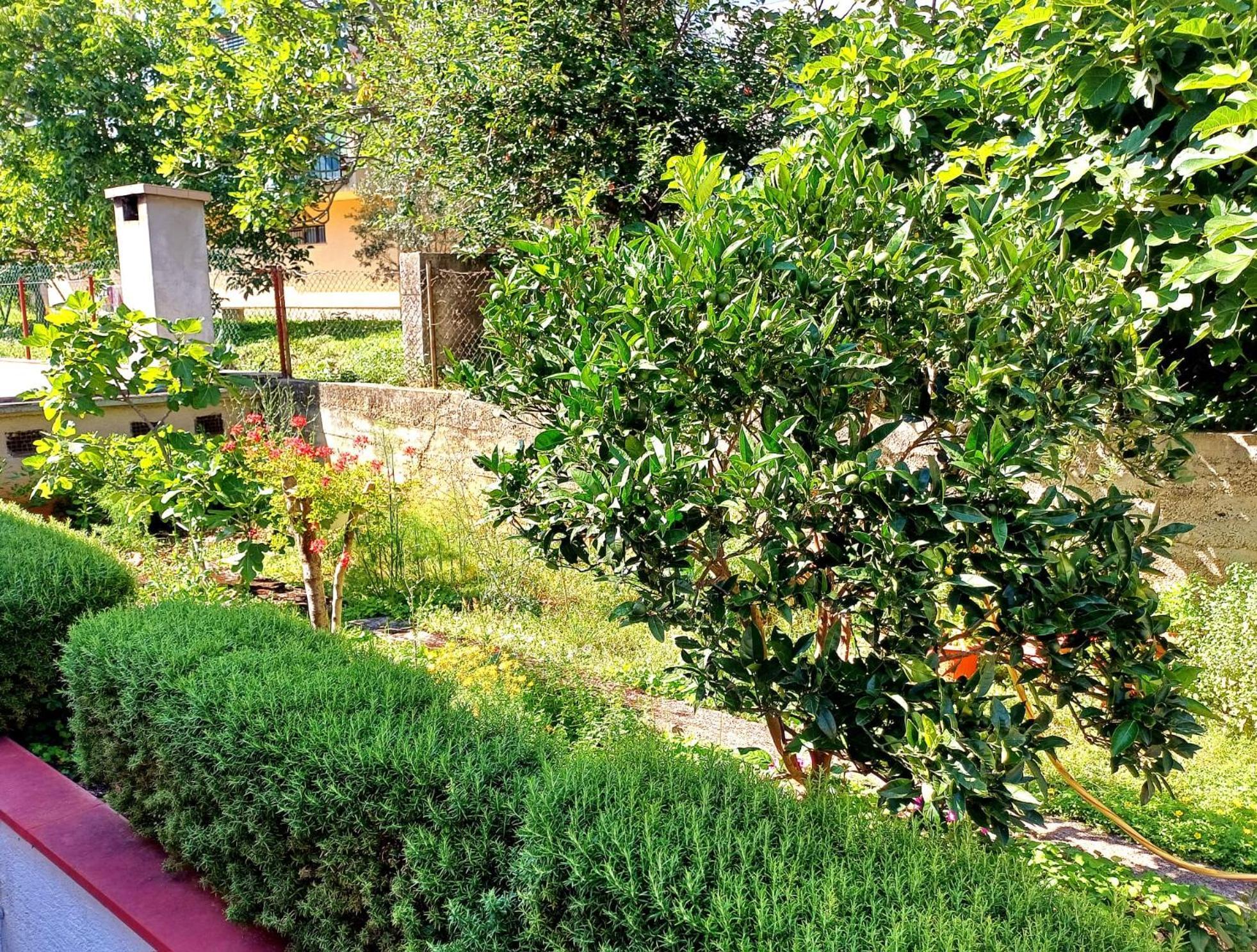 Adria Daire Crikvenica Dış mekan fotoğraf